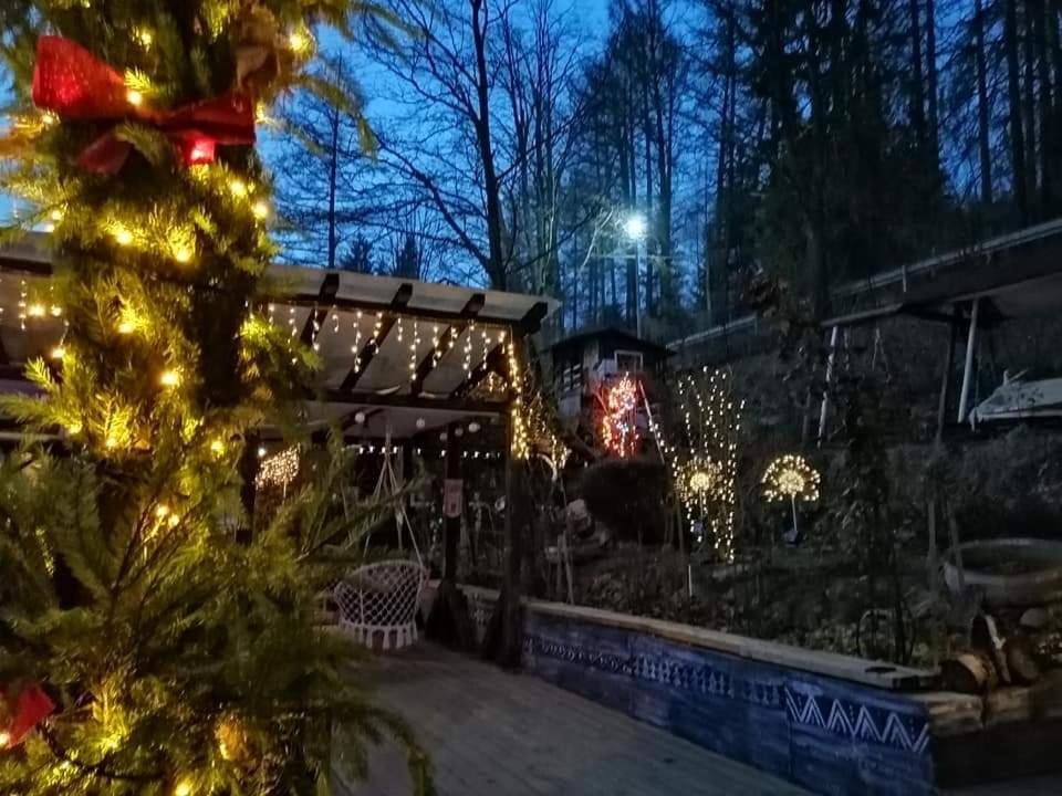 Apartament Sarco Villa Vatra Dornei Exteriör bild