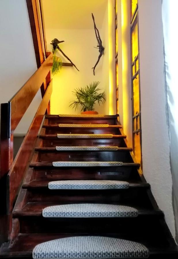 Apartament Sarco Villa Vatra Dornei Exteriör bild