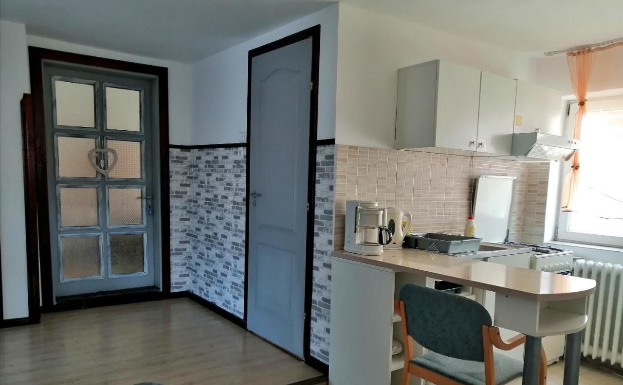 Apartament Sarco Villa Vatra Dornei Exteriör bild