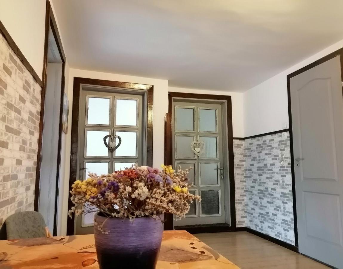 Apartament Sarco Villa Vatra Dornei Exteriör bild