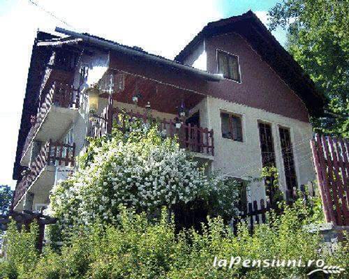 Apartament Sarco Villa Vatra Dornei Exteriör bild